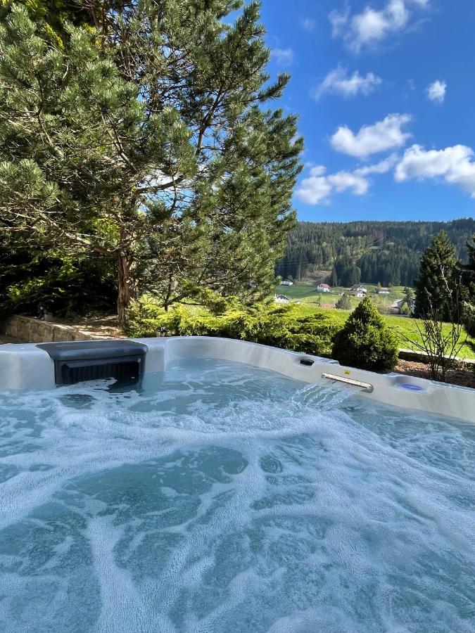 La Charbonniere, Grand Gite Haut-De-Gamme Avec Jacuzzi Et Sauna Gerardmer Bagian luar foto